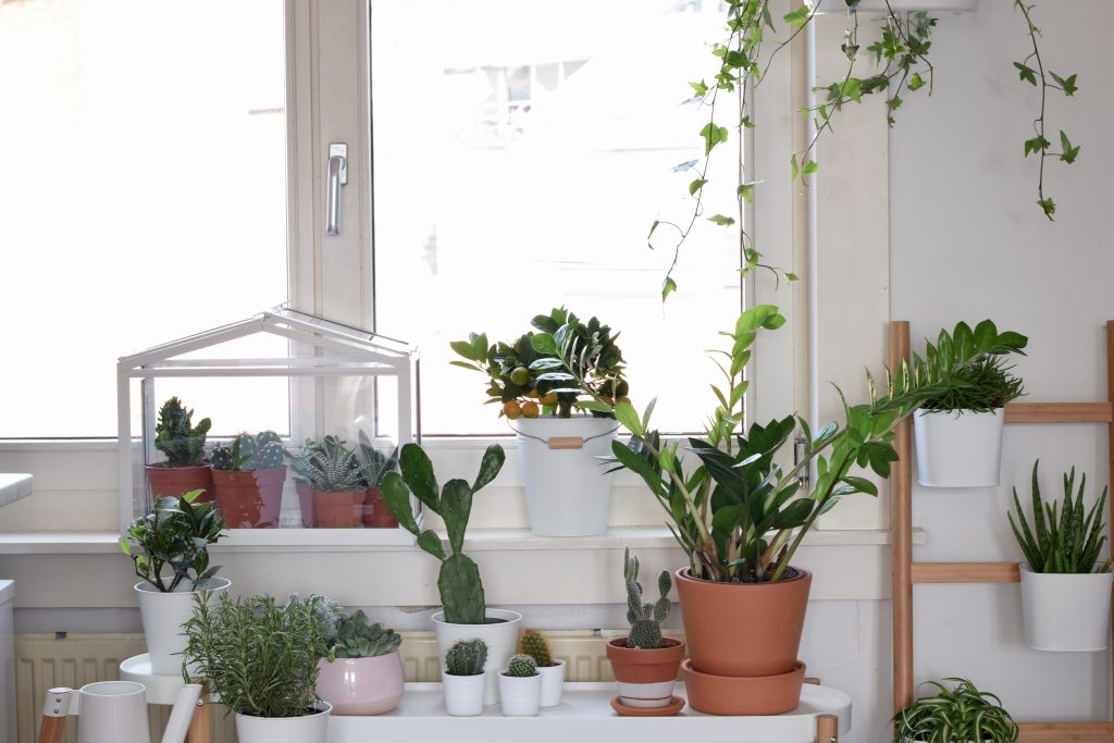 ikea indoor garden raam