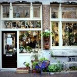 Wildernis_Amsterdam